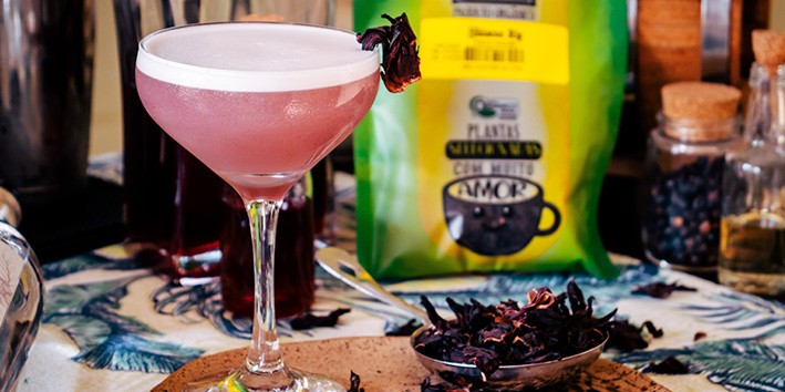 Receita: Drink Hibiscus Blossom